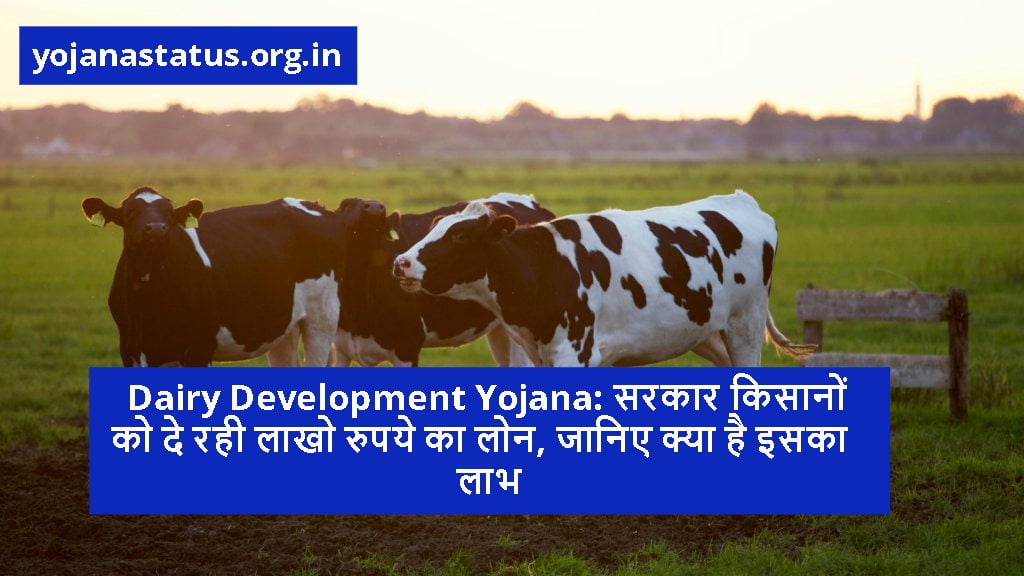 Dairy Development Yojana: सरकार किसानों को दे रही लाखो रुपये का लोन, जानिए क्या है इसका लाभ