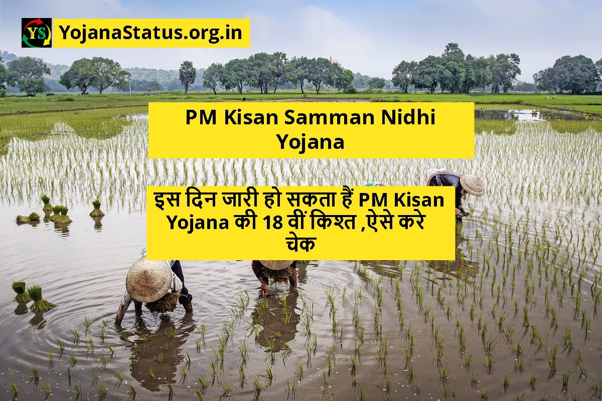 इस दिन जारी हो सकता हैं PM Kisan Yojana की 18 वीं किश्त ,ऐसे करे चेक