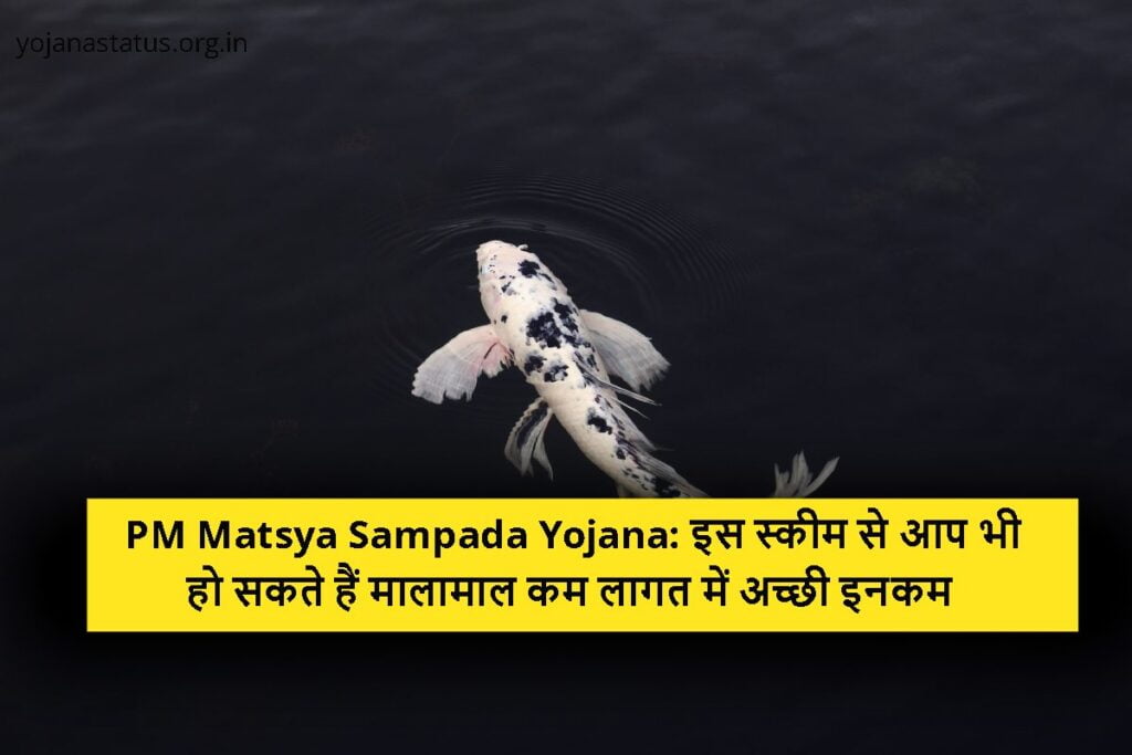 PM Matsya Sampada Yojana: इस स्कीम से आप भी हो सकते हैं मालामाल कम लागत में अच्छी इनकम