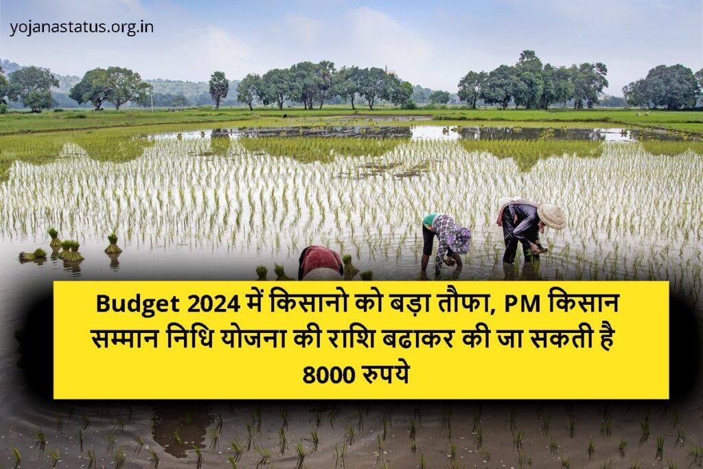 Budget 2024 में किसानो को बड़ा तौफा, PM किसान सम्मान निधि योजना की राशि बढाकर की जा सकती है 8000 रुपये