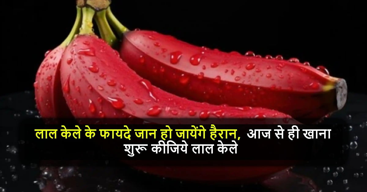 Red Banana Benefits: लाल केले के फायदे जान हो जायेंगे हैरान, आज से ही खाना शुरू कीजिये लाल केले