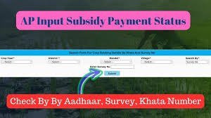 AP Input Subsidy Payment Status