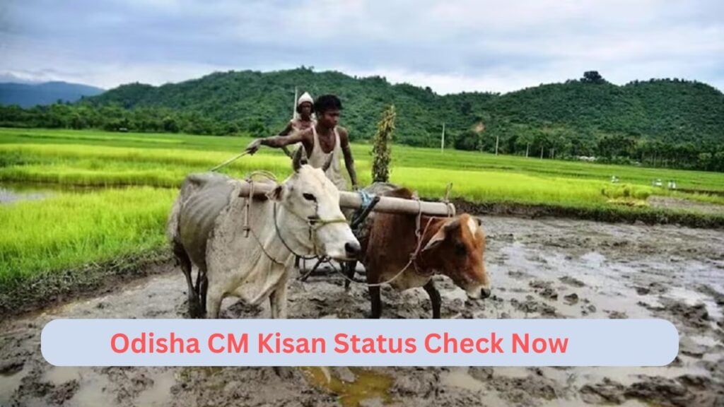 Odisha CM Kisan Status